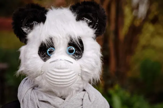 BigAzart Casino Ënnerstëtzung